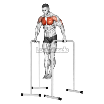 Wide Grip Chest Dip on High Parallel Bars