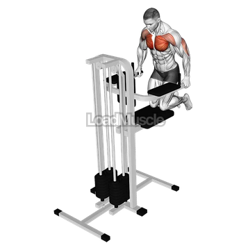 Assisted Wide Grip Chest Dip (kneeling)