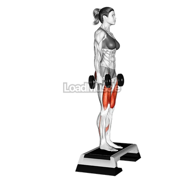 Dumbbell Rear Lunge from Step
