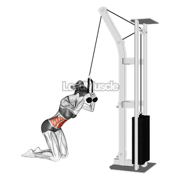 Cable Kneeling Crunch