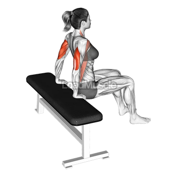 Bench Dip (knees bent)