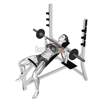 Barbell Incline Bench Press
