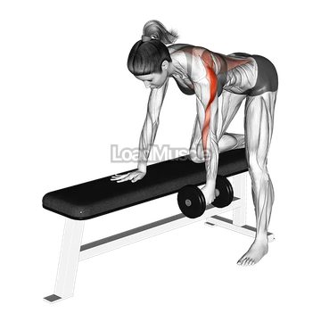 Dumbbell One Arm Bent over Row