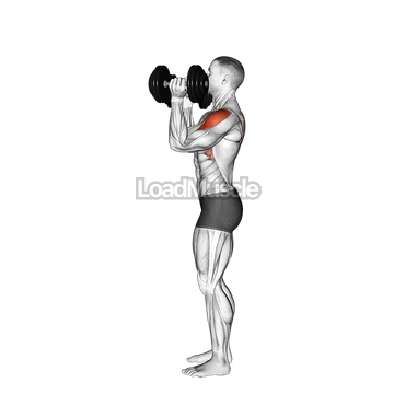 Dumbbell Scott Press