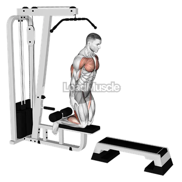 Inverse Leg Curl (on pull-up cable machine)