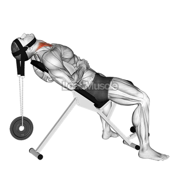 Weighted Lying Neck Flexion (with head harness)