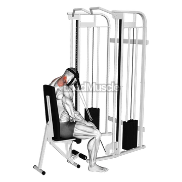 Cable Seated Neck Extension (with head harness)