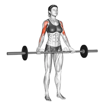 Barbell Wide-grip Drag Curl