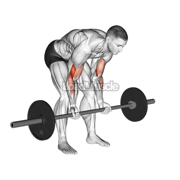 Barbell Standing Concentration Curl