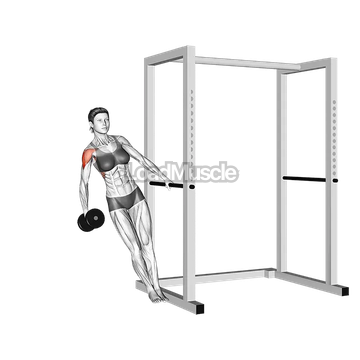 Dumbbell Single-arm Leaning Lateral Raise