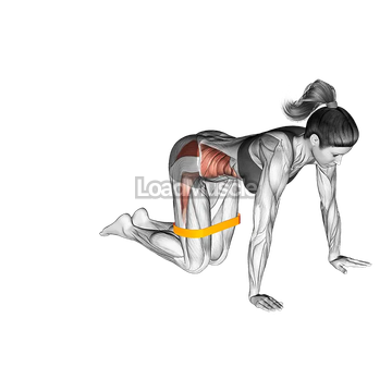 Resistance Band Bent Leg Side Kick (kneeling)