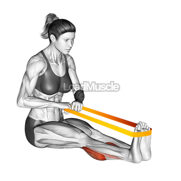 Resistance Band Calf Raise