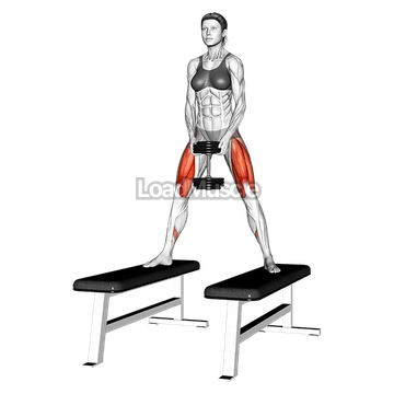 Dumbbell Sumo Squat off Benches