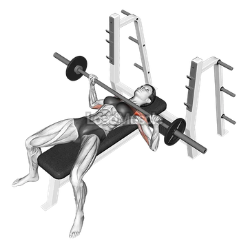 Barbell Bench Press