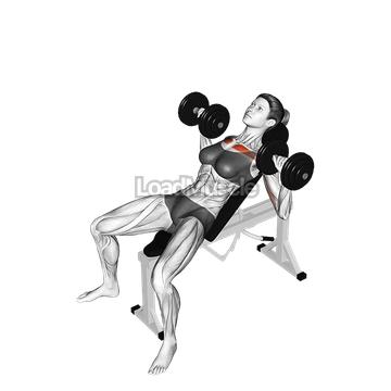Dumbbell Incline Bench Press