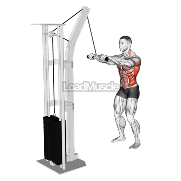 Cable Thibaudeau Kayak Row