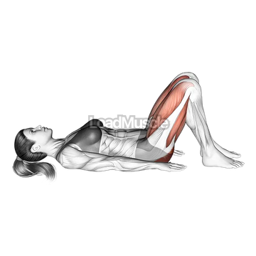 Glute Bridge Two Legs on Floor