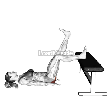 Glute Bridge One Leg on Bench