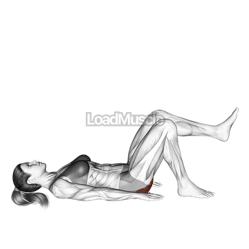 Glute Bridge One Leg on Floor (bent knee)