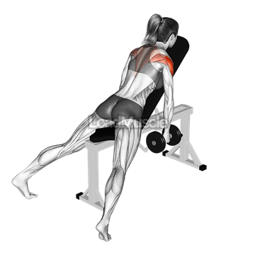 Dumbbell Incline Rear Fly