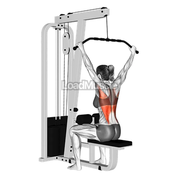 Cable Wide Grip Rear Pulldown Behind Neck