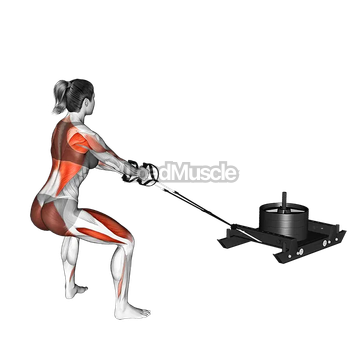 Power Sled Pull Row