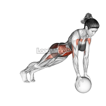 Jack Plank on Medicine Ball