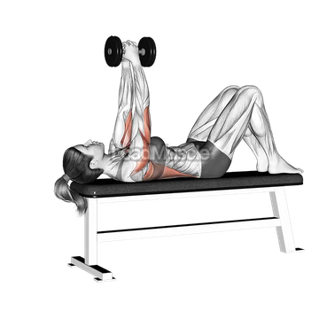 Dumbbell Bent Arm Pullover with Knees Bent