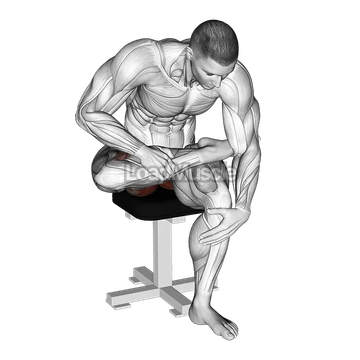 Seated Piriformis Stretch