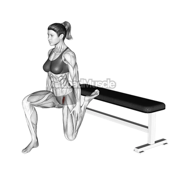 Hip Flexor Stretch Rear foot elevated