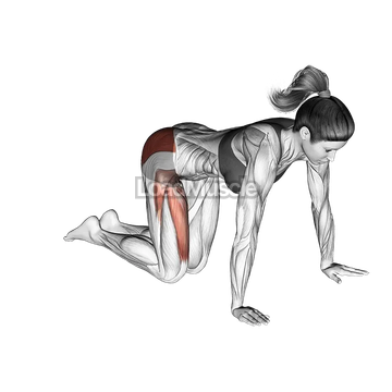 Bent Leg Circle Kick (kneeling)