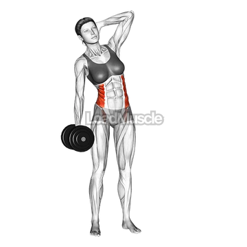 Dumbbell Side Bend