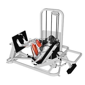 Lever Seated Leg Press