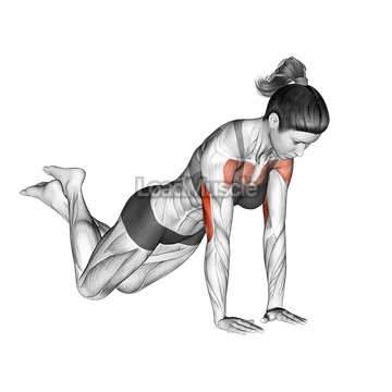 Close-grip Push-up (on knees)