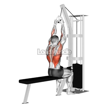 Cable Lateral Pulldown with V-bar