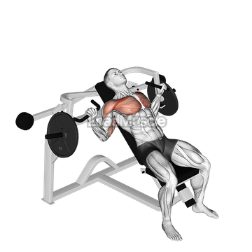 Lever Incline Chest Press (plate loaded)