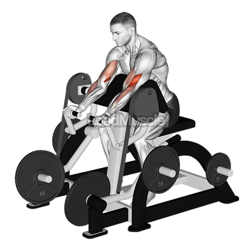 Lever Preacher Curl (plate loaded)