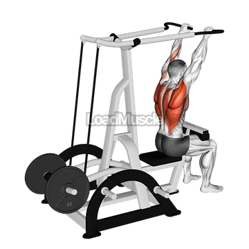 Lever High Row (plate loaded)