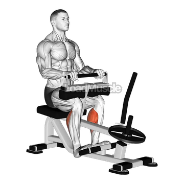 Lever Seated Calf Raise (plate loaded)