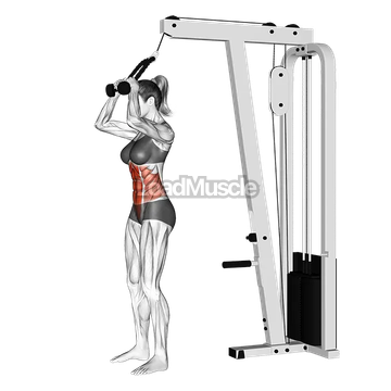 Cable Standing Crunch (with rope attachment)