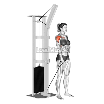 Cable One Arm Front Raise