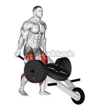 StrongMan Wheelbarrow