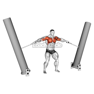 StrongMan Hercules Hold