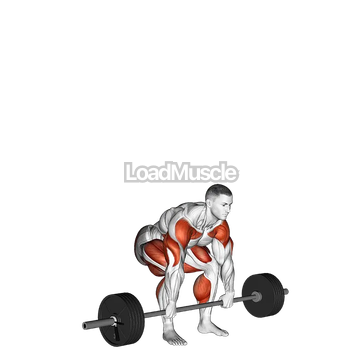 StrongMan Apollons Axle