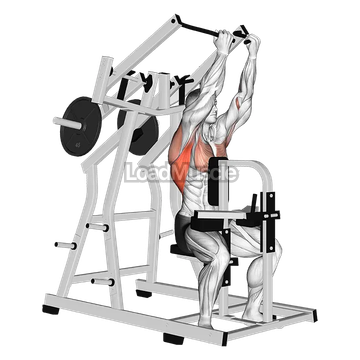 Lever Reverse grip Lateral Pulldown (plate loaded)