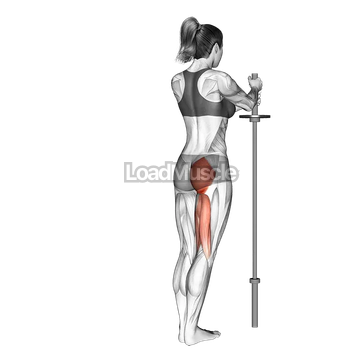 Standing Hip Extension (straight leg)