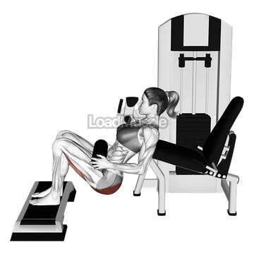 Lever Hip Thrust (with stepbox)