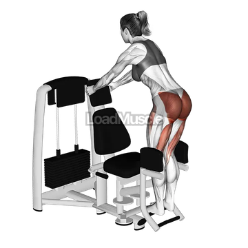 Lever Abduction Squat