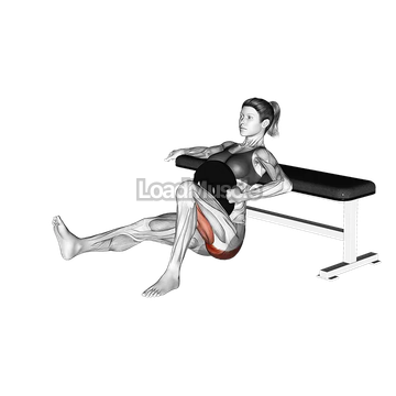 Weighted Hip Thrusts