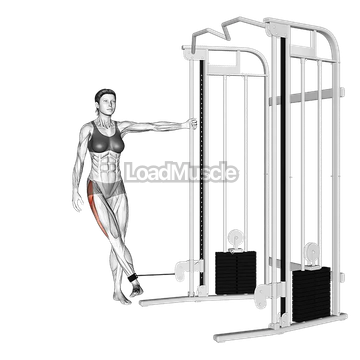 Cable Hip Abduction (toe out)